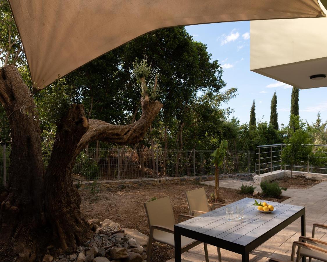 Verikokia Luxurious House With Garden Maroulás Exterior foto